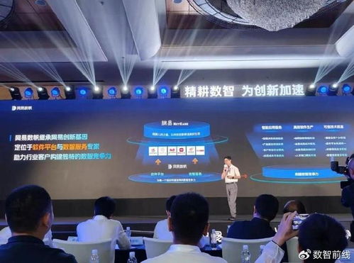 都是低代码,为何网易有不同想法