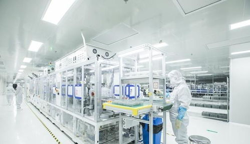 聚焦高质量发展丨 芯光灿烂 点亮黄石老工业基地转型之路